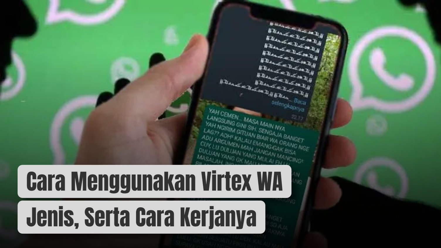 Cara Menggunakan Virtex WA Jenis Serta Cara Kerjanya Lipsku