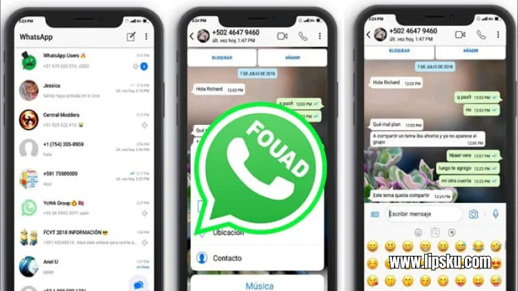 Fouad WhatsApp v9.62 9.52 Apk Download Official Terbaru