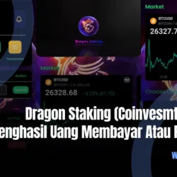 Dragon Staking (Coinvesmt Com) APK Penghasil Uang Membayar Atau Penipuan?