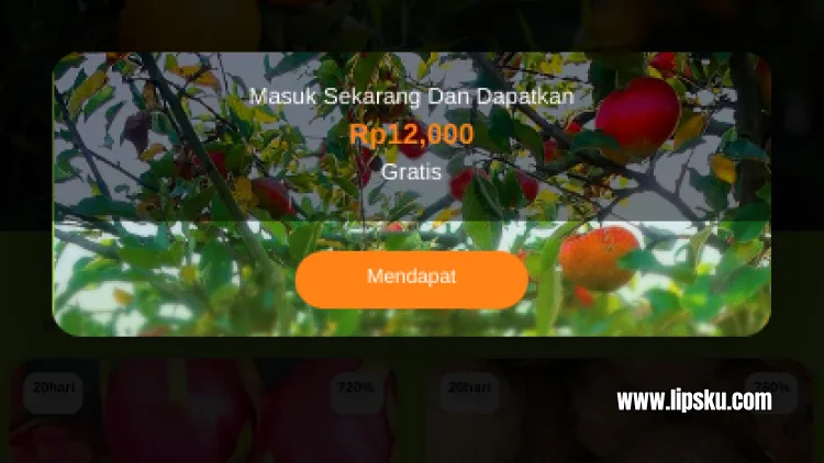 Aplikasi Kebun-Buah Penghasil Uang, Login Dapat Rp 12.000 Apakah Membayar?