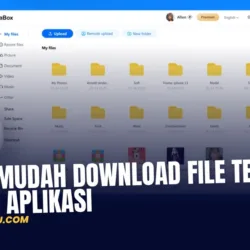 Cara Mudah Download File Terabox Tanpa Aplikasi