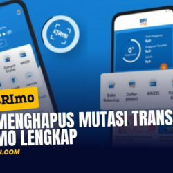 Cara Menghapus Mutasi Transaksi di BRImo Lengkap