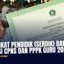 Sertifikat Pendidik (Serdik) dalam Seleksi CPNS dan PPPK Guru 2024