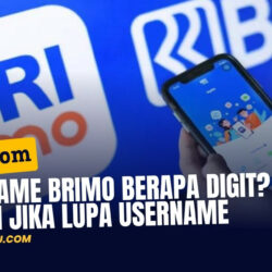 Username BRImo Berapa Digit? Cek Ini Jika Lupa Username