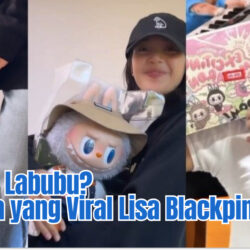 Apa Itu Labubu? Boneka yang Viral Lisa Blackpink