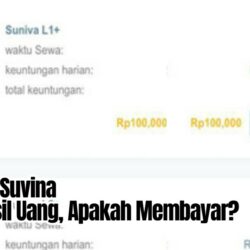 Aplikasi Suniva Penghasil Saldo DANA Apakah Membayar?