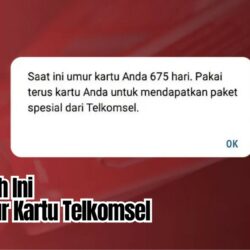 Berapa Usia Kartumu? Begini Cara Cek Umur Kartu Telkomsel