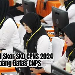 Cara Cek Hasil Skor SKD CPNS 2024 dan Nilai Ambang Batas