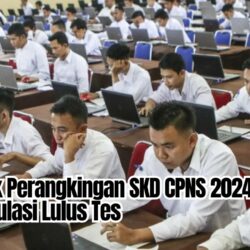 Cara Cek Perangkingan SKD CPNS 2024 dan Simulasi Lulus Tes