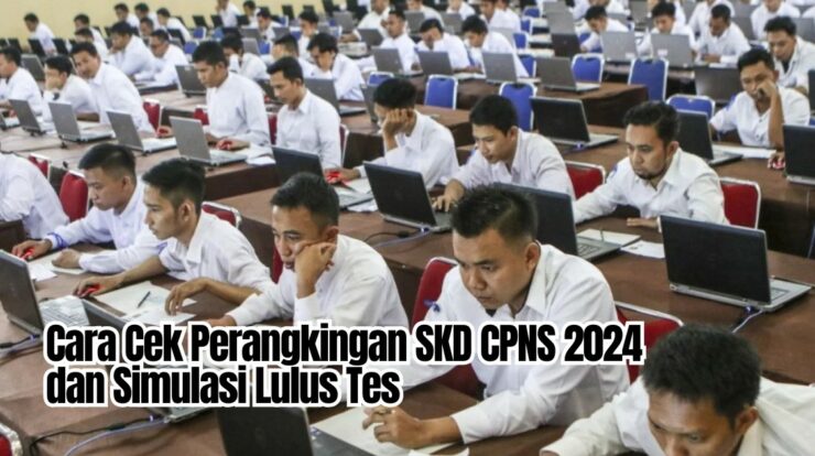 Cara Cek Perangkingan SKD CPNS 2024 dan Simulasi Lulus Tes