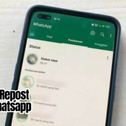 Cara Tag dan Repost Story WhatsApp dengan Mudah