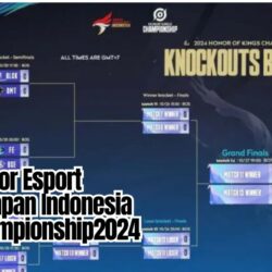 Dominator Esport, Tim Harapan Indonesia di Knockout HOK Championship 2024