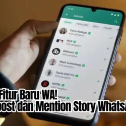 Fitur Baru! Cara Repost dan Mention Teman di Story WhatsApp