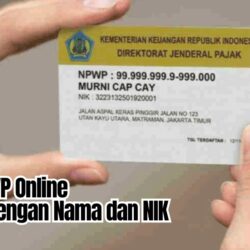 Gunakan Nama dan NIK: Ini Cara Cek NPWP Online dengan Mudah