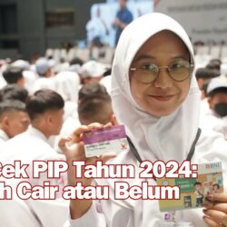 Ini Cara Cek PIP Tahun 2024: Apakah Sudah Cair atau Belum