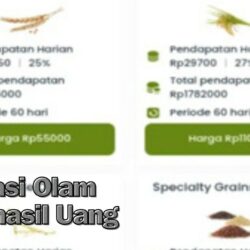 Langsung Dapat 50 Rb: Aplikasi Olam Penghasil Uang