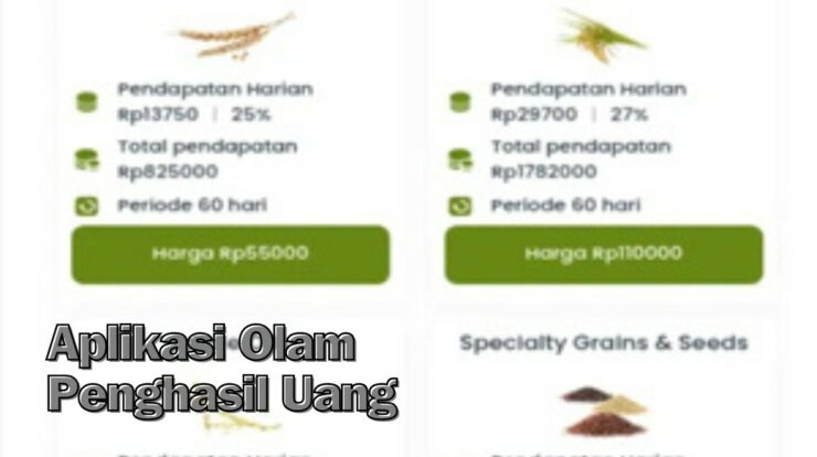 Langsung Dapat 50 Rb: Aplikasi Olam Penghasil Uang