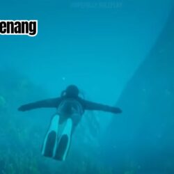 Seru Banget! Begini Cara Berenang di GTA 5 PC untuk Pemula