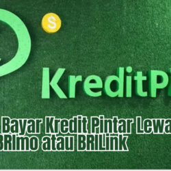 Cara Bayar Kredit Pintar Lewat ATM BRI, BRImo atau BRILink