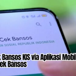 Cara Cek Bansos KIS via Aplikasi Mobile JKN & Laman Cek Bansos