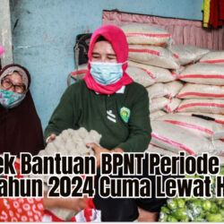 Cara Cek Bantuan BPNT Periode Akhir Tahun 2024 Cuma Lewat HP