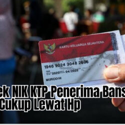 Cara Cek NIK KTP Penerima Bansos Online Cukup Lewat Hp