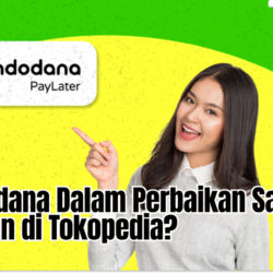 Indodana Dalam Perbaikan Sampai Kapan di Tokopedia?