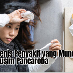 Jenis-jenis Penyakit yang Muncul Saat Musim Pancaroba