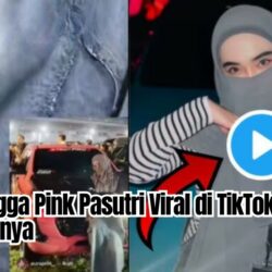 Kenapa Ular Tangga Pink Pasutri Viral di TikTok? Ini Videonya