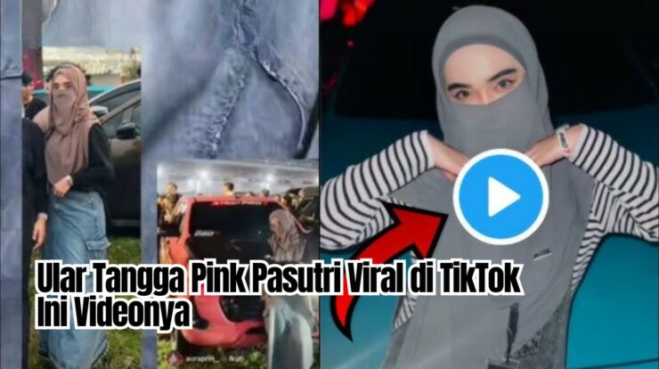 Kenapa Ular Tangga Pink Pasutri Viral di TikTok? Ini Videonya