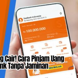 Langsung Cair! Cara Pinjam Uang di SeaBank Tanpa Jaminan