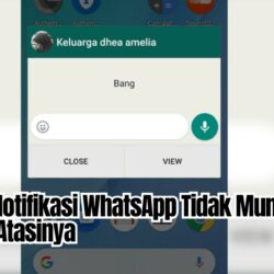 Pop-Up Notifikasi WhatsApp Tidak Muncul: Ini Cara Atasinya