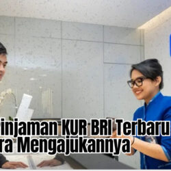 Tabel Pinjaman KUR BRI Terbaru 2024 dan Cara Mengajukannya