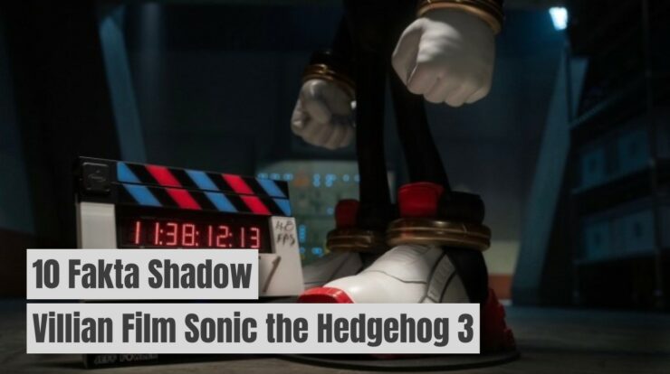 10 Fakta Shadow, Villain di Film Sonic the Hedgehog 3