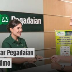 Cara Bayar Pegadaian Cuma Lewat BRImo Ternyata Mudah
