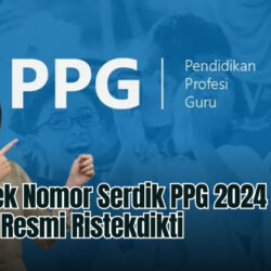 Cara Cek Nomor Serdik PPG 2024 di Laman Resmi Ristekdikti