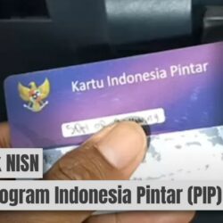 Cara Mudah Cek NISN untuk Program Indonesia Pintar (PIP)