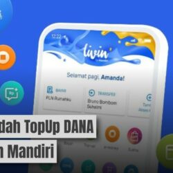 Cara Paling Mudah Top Up DANA dari Livin Mandiri