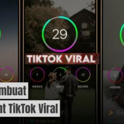 Day Count Viral di TikTok: Ternyata Mudah Cara Membuatnya