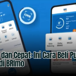 Mudah dan Cepat: Ini Cara Beli Pulsa Listrik di BRImo