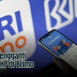 Ternyata Mudah! Begini Cara Mengganti Nomor HP di Brimo