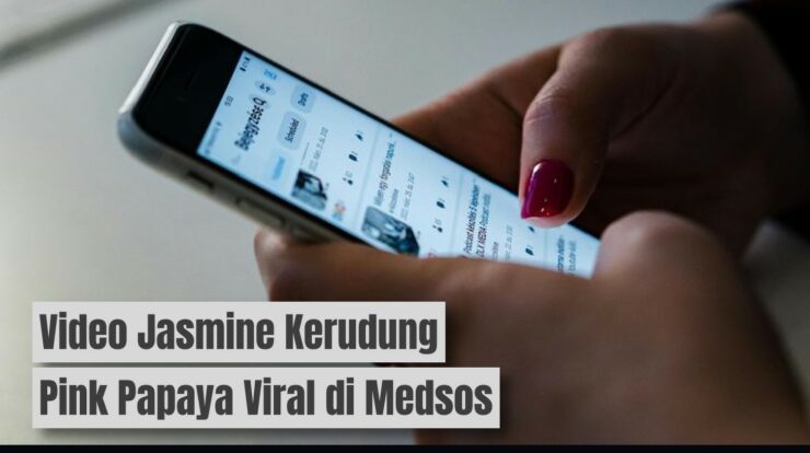 Video Jasmine Kerudung Pink Papaya Viral di Medsos: Ini Videonya