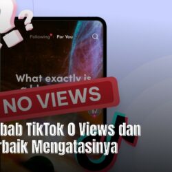 7 Penyebab TikTok 0 Views dan Cara Terbaik Mengatasinya