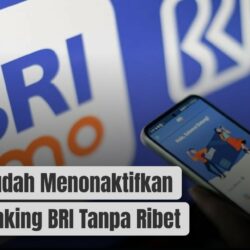 Cara Mudah Menonaktifkan SMS Banking BRI Tanpa Ribet