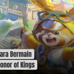 Combo Terbaik! Begini Cara Bermain Menki Honor of Kings