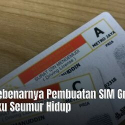 Fakta Sebenarnya Pembuatan SIM Gratis & Berlaku Seumur Hidup