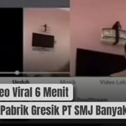 Link Video Viral 6 Menit Gudang Pabrik Gresik PT SMJ Banyak Dicari