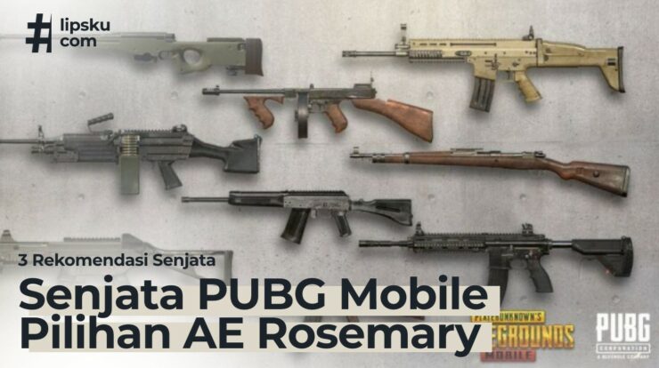 3 Rekomendasi Senjata PUBG Mobile Pilihan AE Rosemary