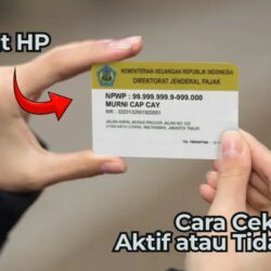 Ternyata Mudah! Cara Cek NPWP Aktif atau Tidak Aktif di Hp