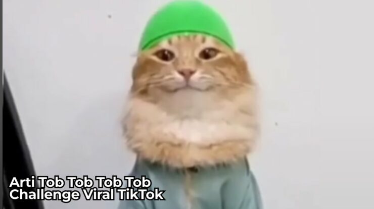 Apa Arti Tob Tobi Tob Tob? Challenge Viral di TikTok